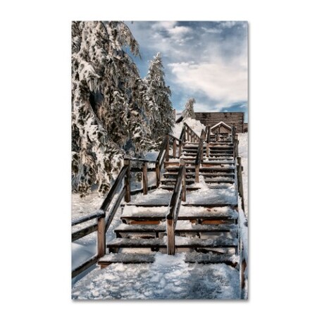 Trademark Fine Art Lois Bryan 'Watch Your Step' Canvas Art, 30x47 LBR0294-C3047GG